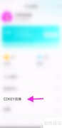 NN兑换CDKEY方法指南