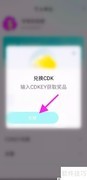 NN兑换CDKEY方法指南