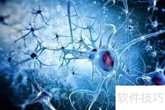 nn是什么意思？一文读懂