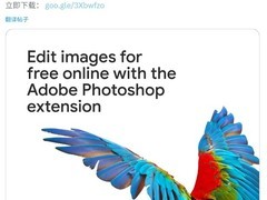全新浏览器扩展上线：一键裁剪、去背景，免费试用一年