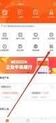 泰隆企业银行收支明细查询