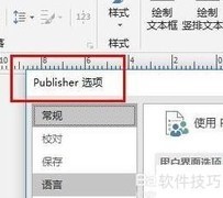 Publish自定义功能区技巧