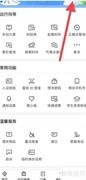 12306爱心版设置方法