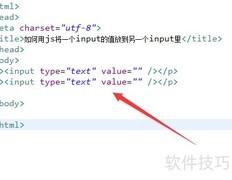 JS实现input值传递