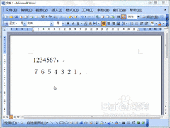 Word2003全半角转换技巧