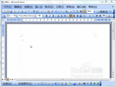 Word2003全半角转换技巧