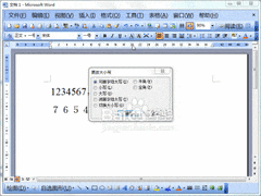 Word2003全半角转换技巧