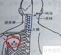 按摩颈椎穴位，轻松养生护颈