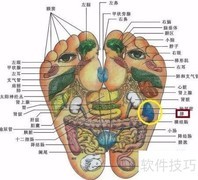 肝癌保健按摩指南
