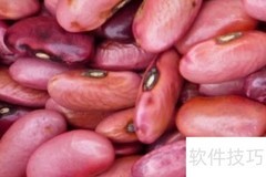 魔豆种植全攻略