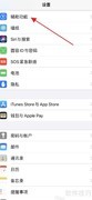 iPhone 11全屏缩放开启方法