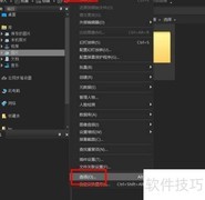 ACDSee全屏属性开启方法