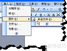 WORD自动更正转文本为图片