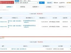 罗永浩回应锤子科技被执行714万：已还8.24亿超原债务
