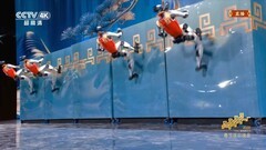 春晚宇树四分半：全球人形机器人一哥的功夫梦