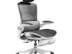 黑白调P2电脑椅直降，到手仅479元