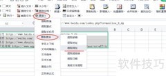Excel批量提取网址技巧