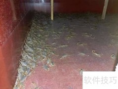河南蝎子养殖技术指南