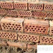 河南蝎子养殖技术指南
