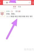 审字查字典方法指南