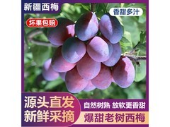薏品甄鲜蓝蜜西梅4.5斤装，满39减21仅18.9元！