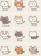 遇见你的猫世界种族揭秘