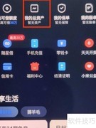 天星金融总资产查询指南