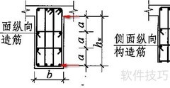 构造筋与腰筋的区别解析
