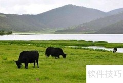 探秘普达措四季之美