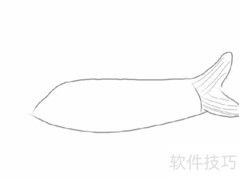 手绘美国红鹰鱼步骤详解