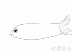 手绘美国红鹰鱼步骤详解