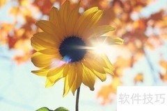 Sunny是什么意思？一文读懂