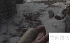 生化危机8狼人通关技巧