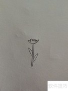 漂亮花儿简笔画教程