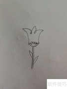 漂亮花儿简笔画教程