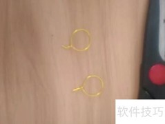 花儿世界的奇妙之旅