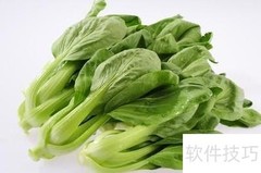 轻松瘦身：科学减肥全攻略