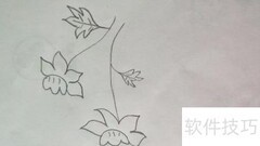 漂亮花儿简笔画法