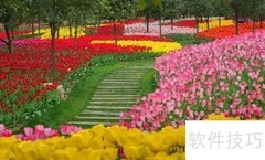 花儿如何在花园中绽放