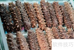 如何挑选优质海参专卖店