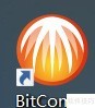 BitComet默认详情页设置