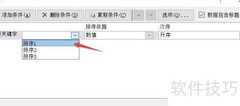 Excel多重排序设置方法