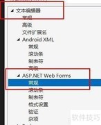 VS中ASP.NET Web Forms启用空格