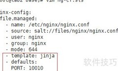 SaltStack模板使用指南