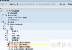 SAP集中采购配置指南