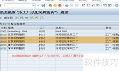 SAP集中采购配置指南