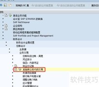 SAP集中采购配置指南