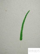 水粉画绿草与花朵技巧