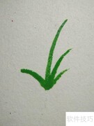 水粉画绿草与花朵技巧