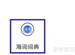 海词词典发音设置修改方法